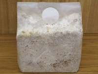 菌床ブロック